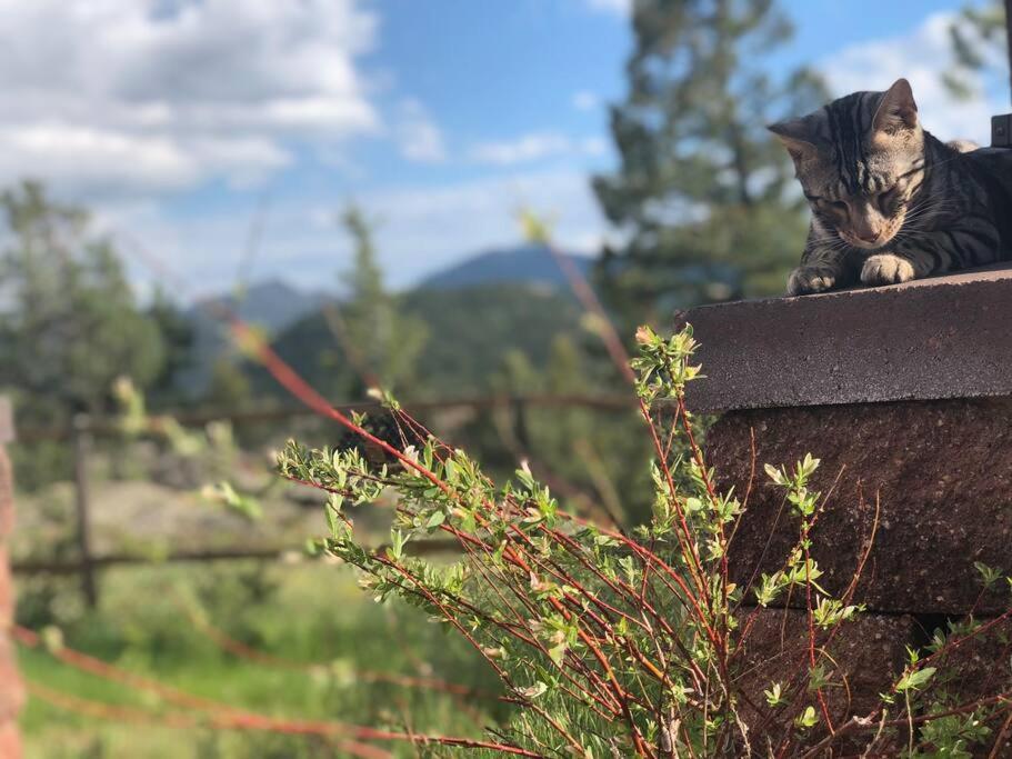 Boulder Best City And Nature With Lake And Trails Pets Ok Eksteriør billede