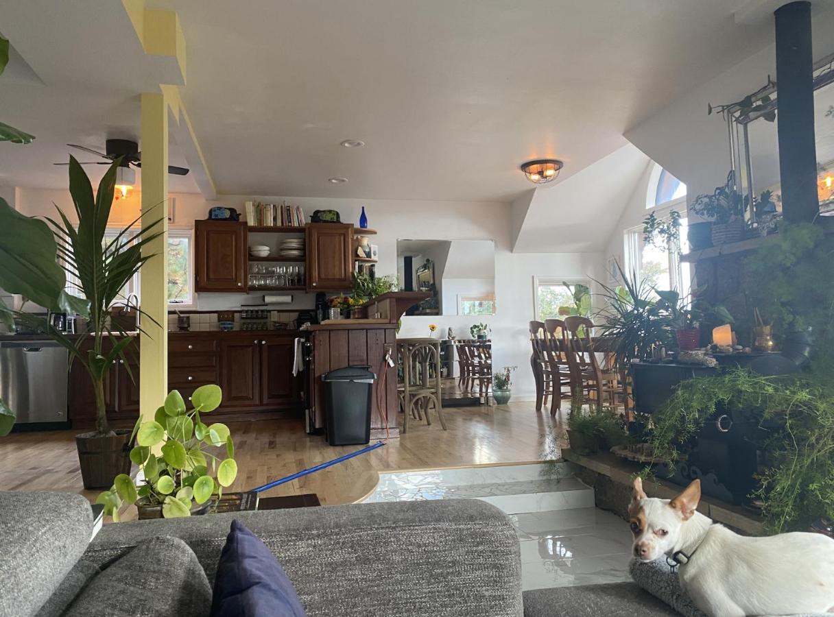 Boulder Best City And Nature With Lake And Trails Pets Ok Eksteriør billede